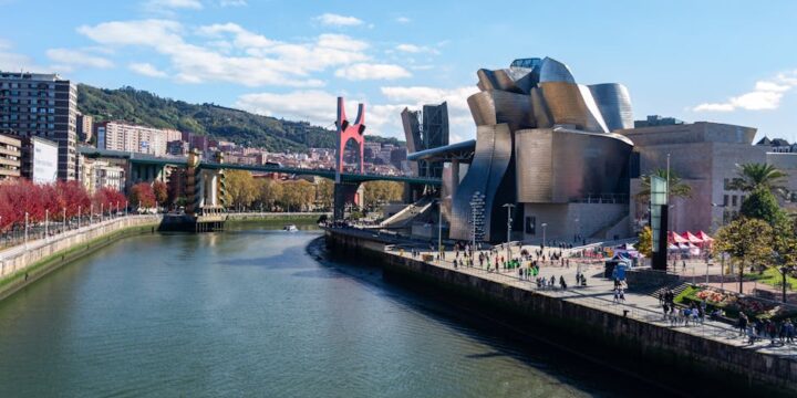 Radiofrecuencia Facial en Bilbao: La Solución Avanzada para una Piel Rejuvenecida